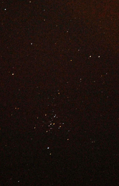 M41 Star Cluster in Canis Major